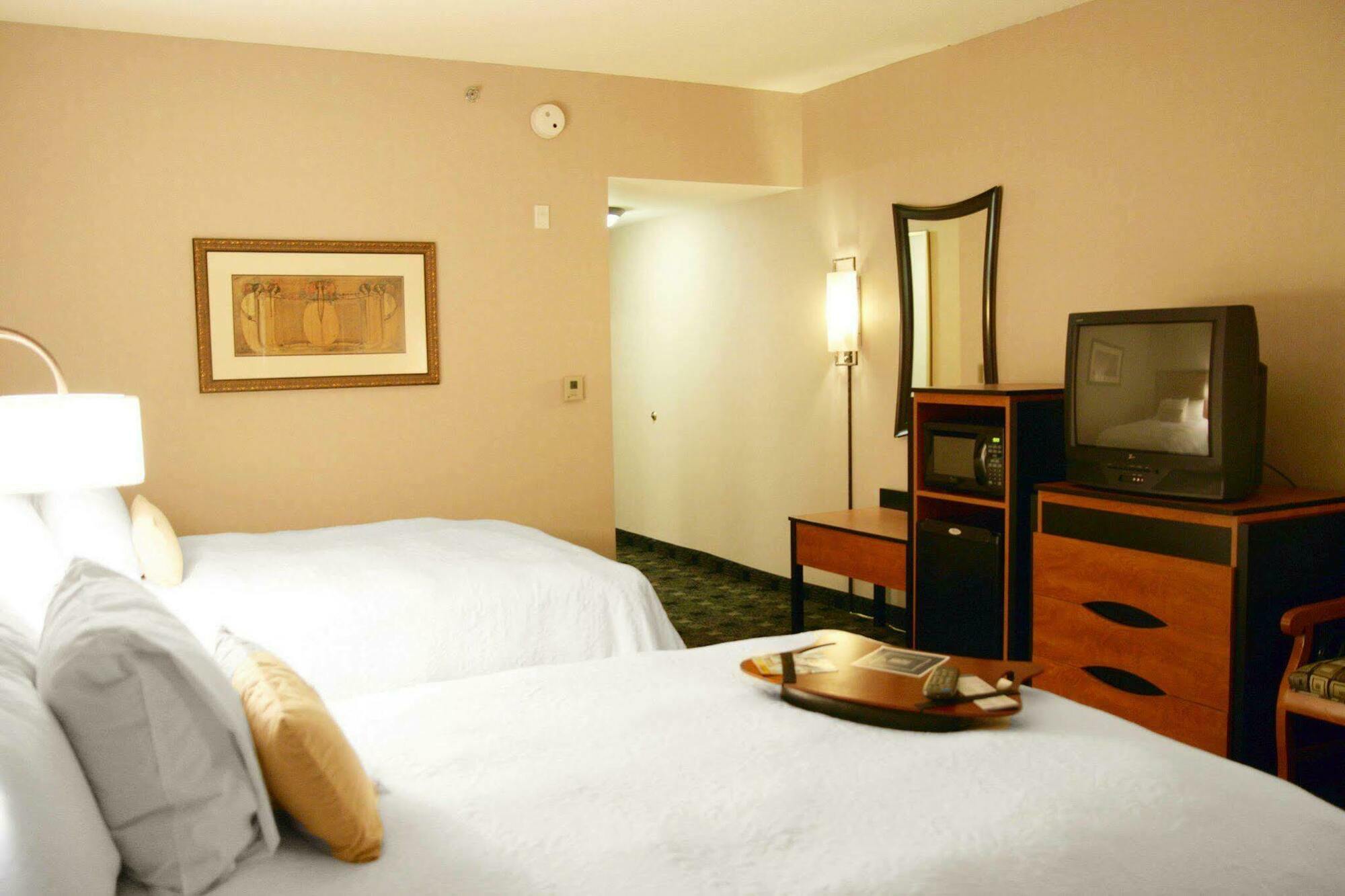 Hampton Inn And Suites Indianapolis-Fishers Kamer foto